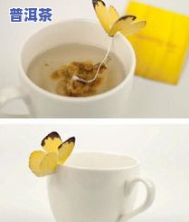 深入解析：茶叶与茶包的区别