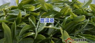 几斤毛茶出一斤普洱茶-几斤毛茶出一斤普洱茶呢