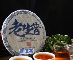 5克普洱茶泡多少水合适？适合减肥吗？