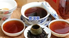 普洱茶提取物的作用：揭示其功效与作用机制