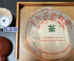 如何准确判断普洱茶饼年份、好坏、真假？普洱茶饼日期识别方法大揭秘！