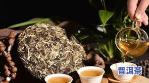 最有辨识度的普洱茶：种类、与品质的全面解析