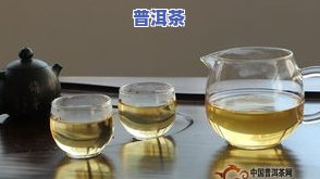 普洱茶饼可以直接泡吗？如何正确冲泡及饮用？