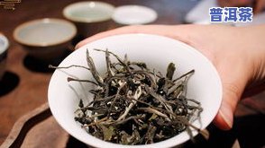 普洱茶专用称号-普洱茶专用称号是什么