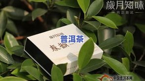 普洱茶专用称号-普洱茶专用称号是什么