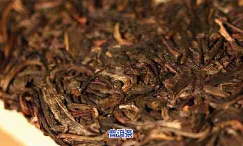 吉普洱茶的功效与作用全解析：优点、禁忌与副作用