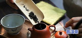 熟茶普洱怎么泡-熟茶普洱怎么泡水喝