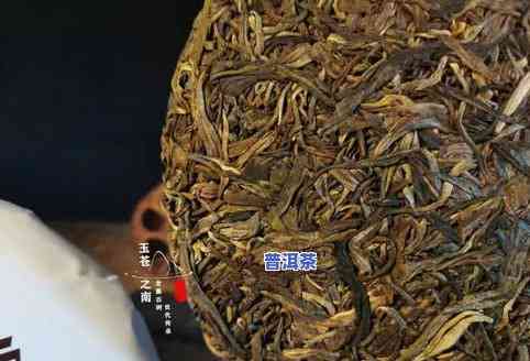 贵的普洱茶种类：品种、及图片全解析