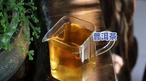 喝普洱茶最忌讳几件事-喝普洱茶的十大禁忌不得不看