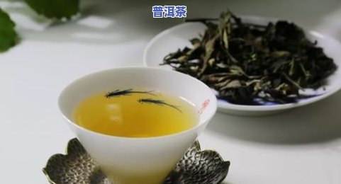 探索普洱茶的冷门小知识：从鲜叶采摘到陈化过程，了解普洱茶的独特魅力。