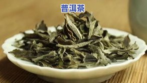 白茶怎么保存好？越存越香的秘密大公开！