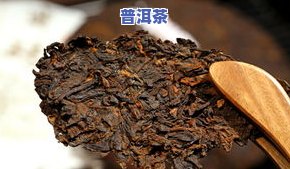 茶王树普洱茶口感特点解析：产地、品质与评价