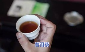 普洱茶认识-普洱茶的认识