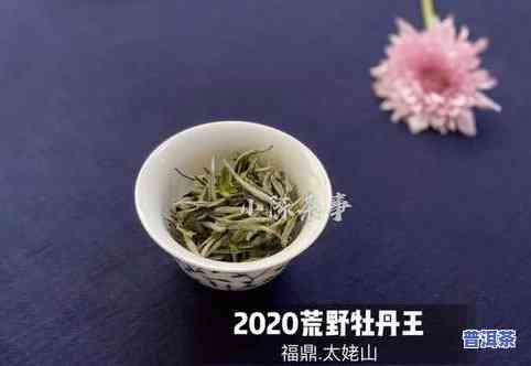 到可以带茶叶吗？最新规定及限制