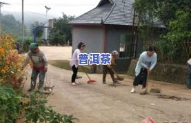 沧县普洱茶-沧源县普洱茶