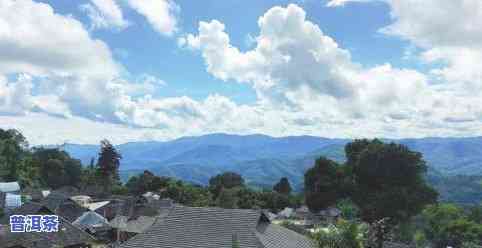 沧县普洱茶-沧源县普洱茶