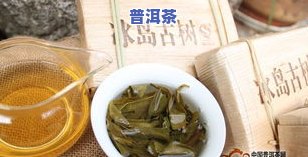 普洱茶冲剂：怎样冲泡及饮用？