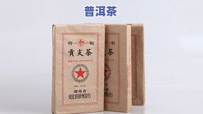 老班章茶厂直销，直接从源头购买，品味正宗老班章——老班章茶厂直销