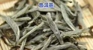 老白茶怎么存储更好？掌握正确方法让茶叶更美味！