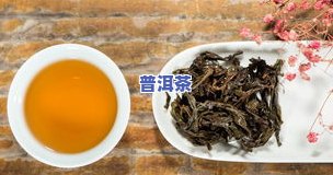 普洱茶能否降尿酸？适合痛风、血糖高人群饮用的茶品推荐