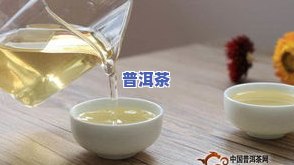 普洱茶适合哪些人群饮用？不同季节、几泡适宜？详细解析！