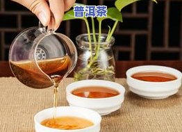 厦门普洱茶哪家更好？专业评测告诉你！