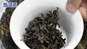 普洱茶叶属于哪种茶品类？