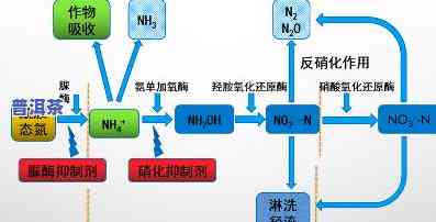 茶叶是否有除湿作用？探究其科学原理与实际效果