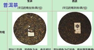 普洱茶属于哪一类茶叶？探讨其分类与特性