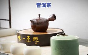 九江普洱茶哪家口感好？推荐几家受欢迎的和茶具厂家