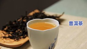 普洱最贵的茶叶是什么品种？探索其背后的价值与故事