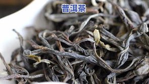 通过对比了解普洱茶和白茶的优劣与品味差异