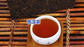 熟普与生普洱茶保存：方法、区别与留意事项