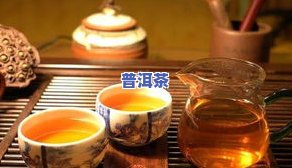 普洱茶三大产地：云南、广东、福建，各具特色代表性茶叶