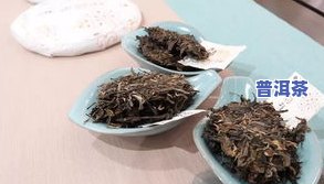 沈阳普洱茶-普洱茶旗舰店