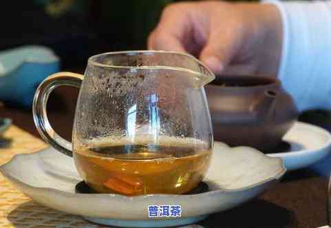 沈阳普洱茶-普洱茶旗舰店