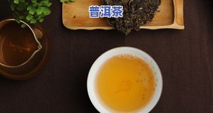 糯香普洱茶推荐-糯香普洱茶推荐品种