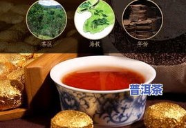 糯香普洱茶推荐-糯香普洱茶推荐品种