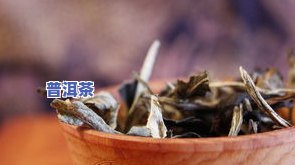 糯香普洱茶推荐-糯香普洱茶推荐品种