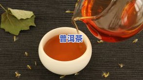 糯香普洱茶推荐-糯香普洱茶推荐品种