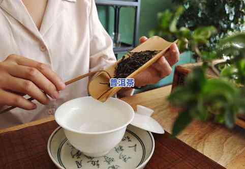 普洱茶古树茶特点介绍图片-普洱茶古树茶特点介绍图片大全