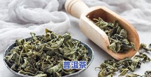 茶叶卷起来是什么病-茶叶卷起来是什么病