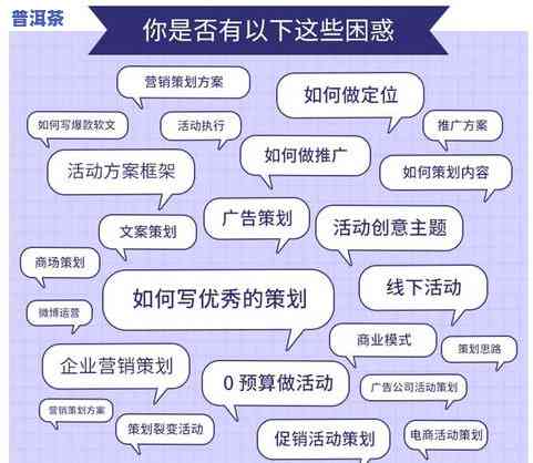 探究普洱茶展示的目的：活动策划方案与实现方式