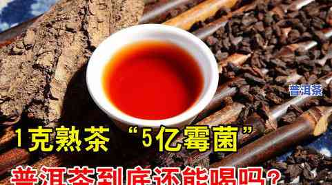 普洱茶源宣传片视频-普洱茶源宣传片视频大全