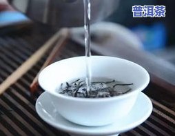 普洱茶的冲泡方法：煮饮法与冲泡法的详细流程