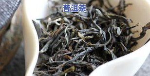 普洱老白茶价格多少？详细解析每斤价格