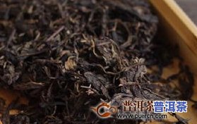 普洱茶新及品种一览