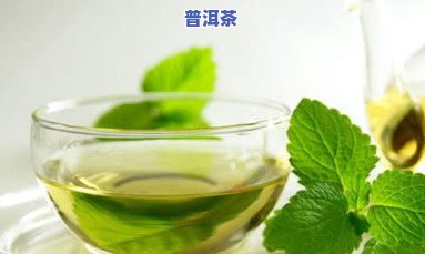 普洱的度数是什么意思？详解普洱茶的精度与发酵程度的关系