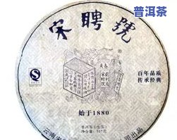 如何判断普洱茶的好坏：5个字视频教程