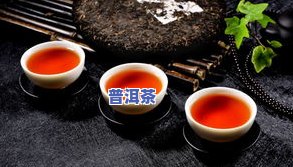 上根普洱茶价格及图片大全：生茶品种、价格一览